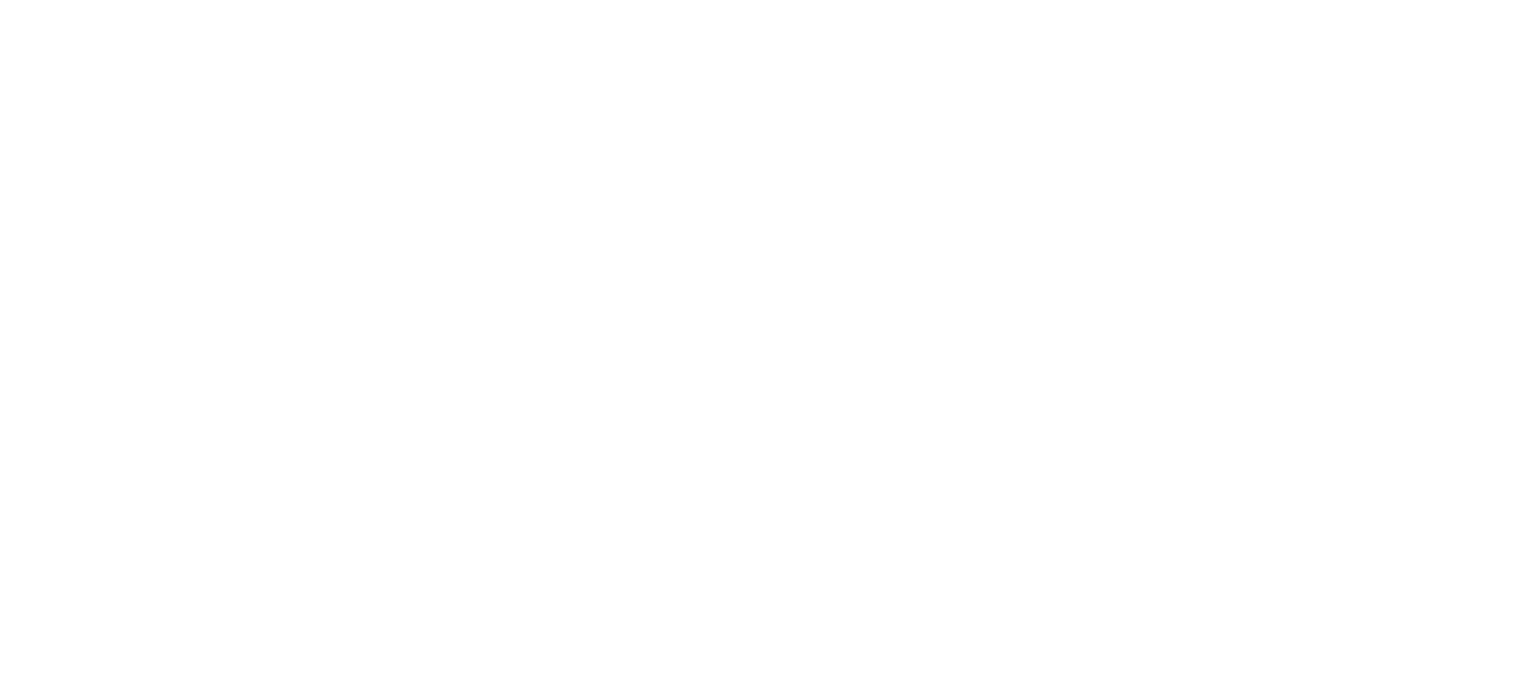LOGOTIPO CONNECT BLANCO